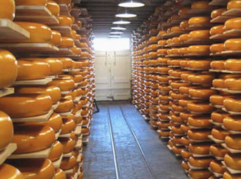 Cheese Tasting Amsterdam