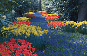 Keukenhof